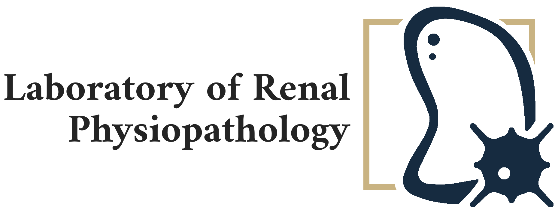 Renal Physiopathology